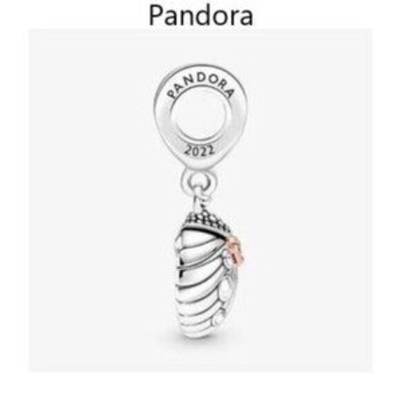 Pandora Silver and Pink Charm Bracelet - Picture 4 of 4